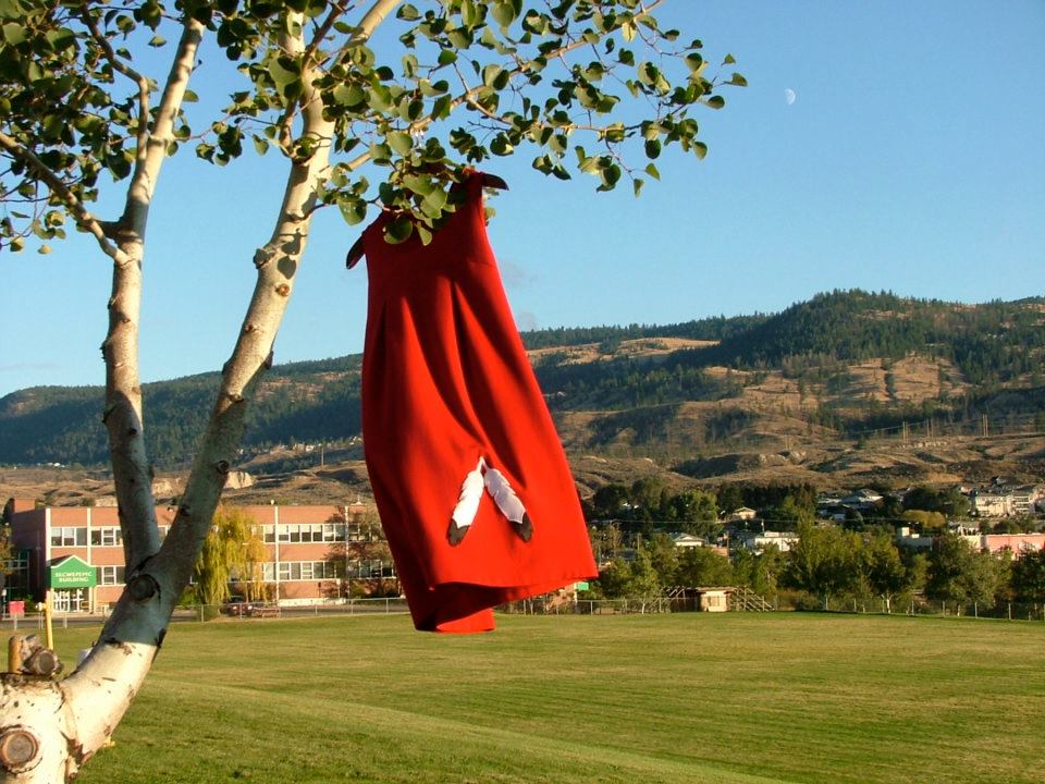Picture of a red dress with an eagle feather, hanging in a tree