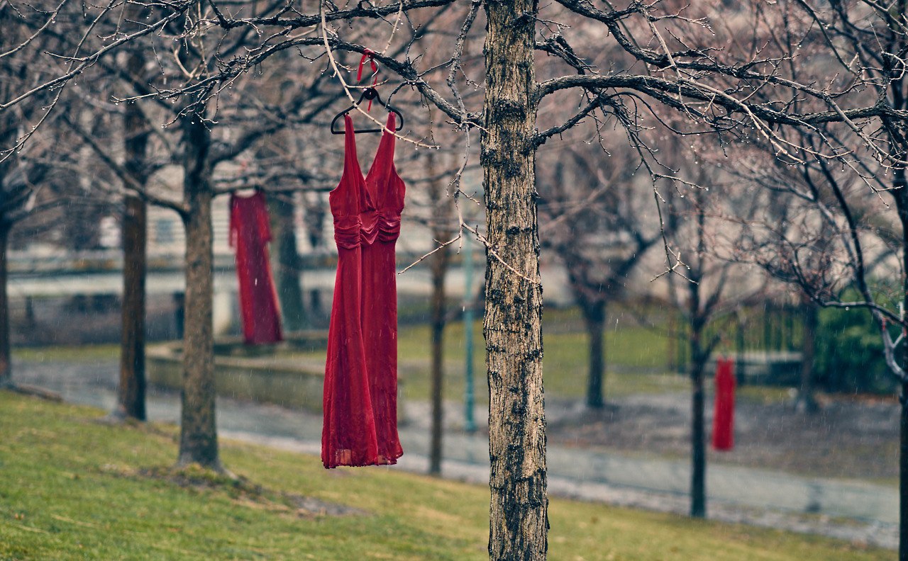 The REDress Project  Jaime Black